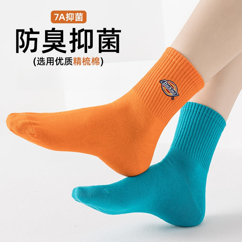 Dickies 7A paypoqlari
