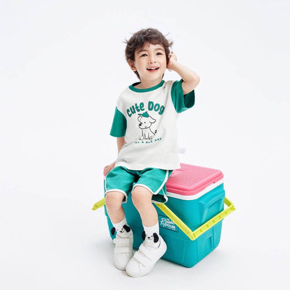 Комплект поло+шорты для мальчиков Balabala - Boxette Shop
