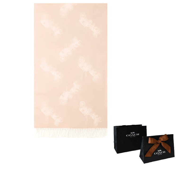 Шарф Coach - Boxette Shop