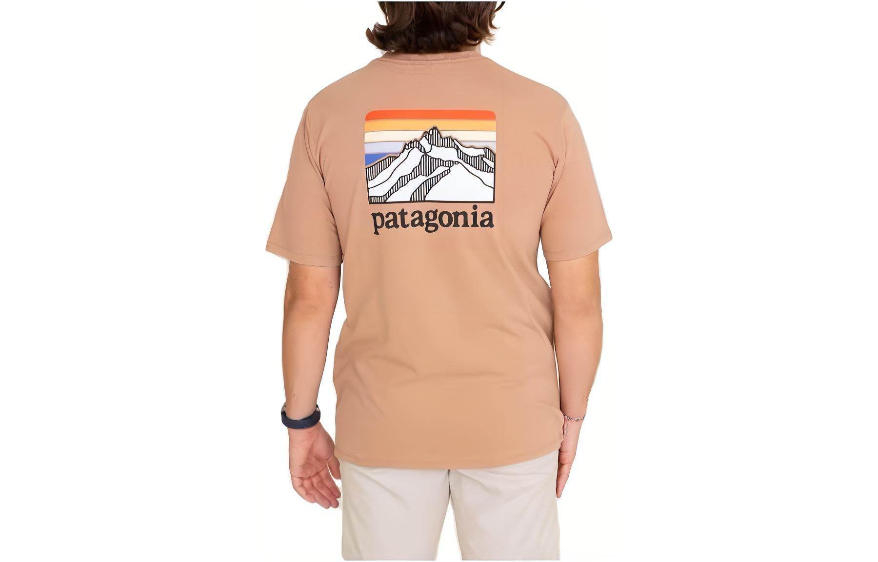 Футболка мужская Patagonia с логотипом - Boxette Shop