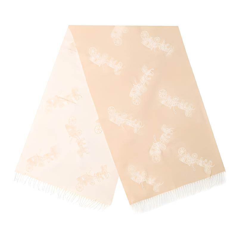 Шарф Coach - Boxette Shop