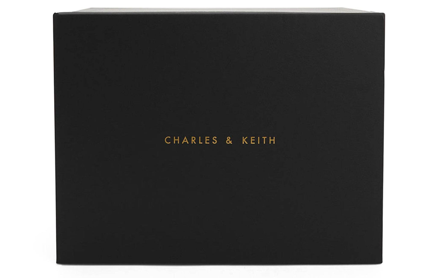 Сумка женская Charles&Keith - Boxette Shop