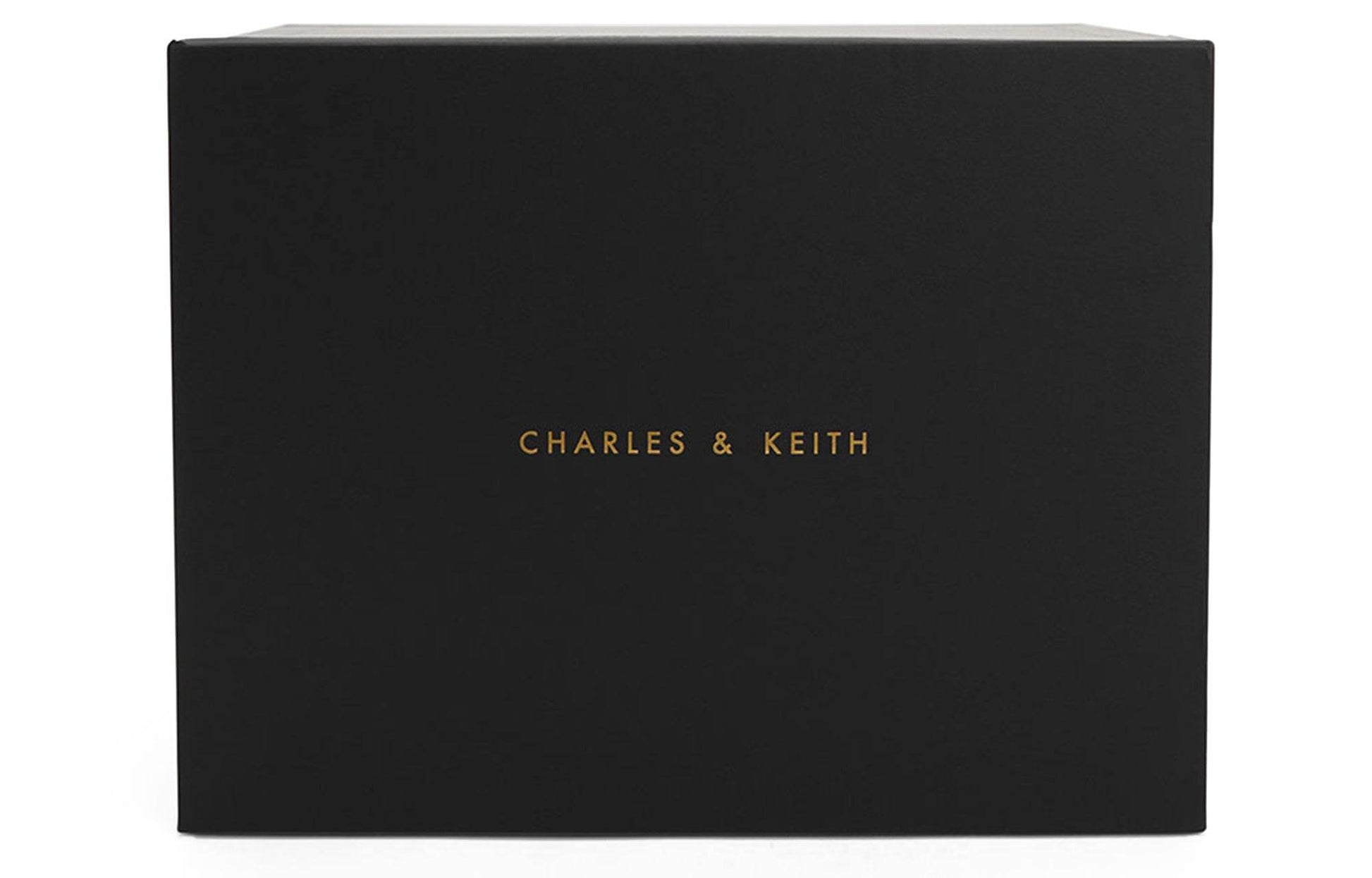 Сумка женская Charles&Keith - Boxette Shop