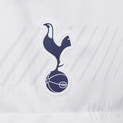 Спортивные шорты мужские Nike Tottenham - Boxette Shop