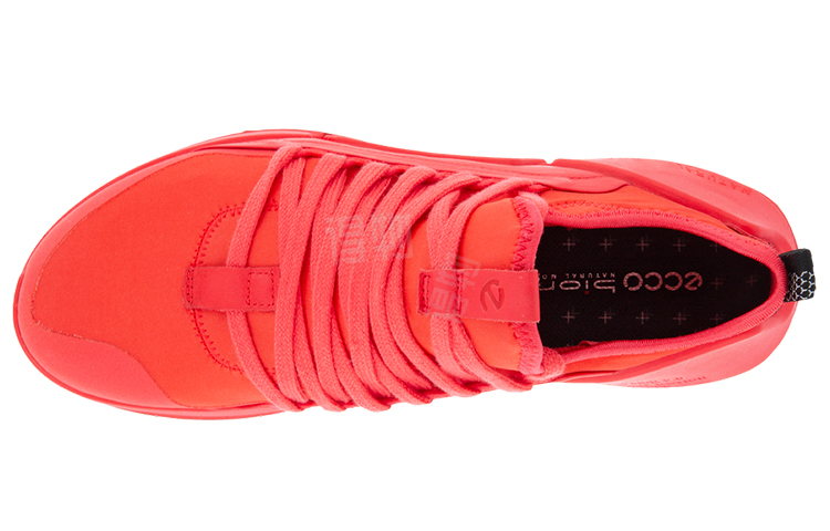 Кроссовки женские Ecco