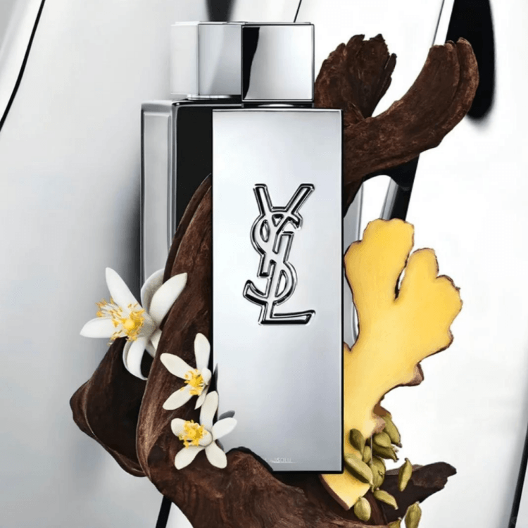 Духи мужские Ysl Saint Laurent L Absolu Woody Bergamot - Boxette Shop