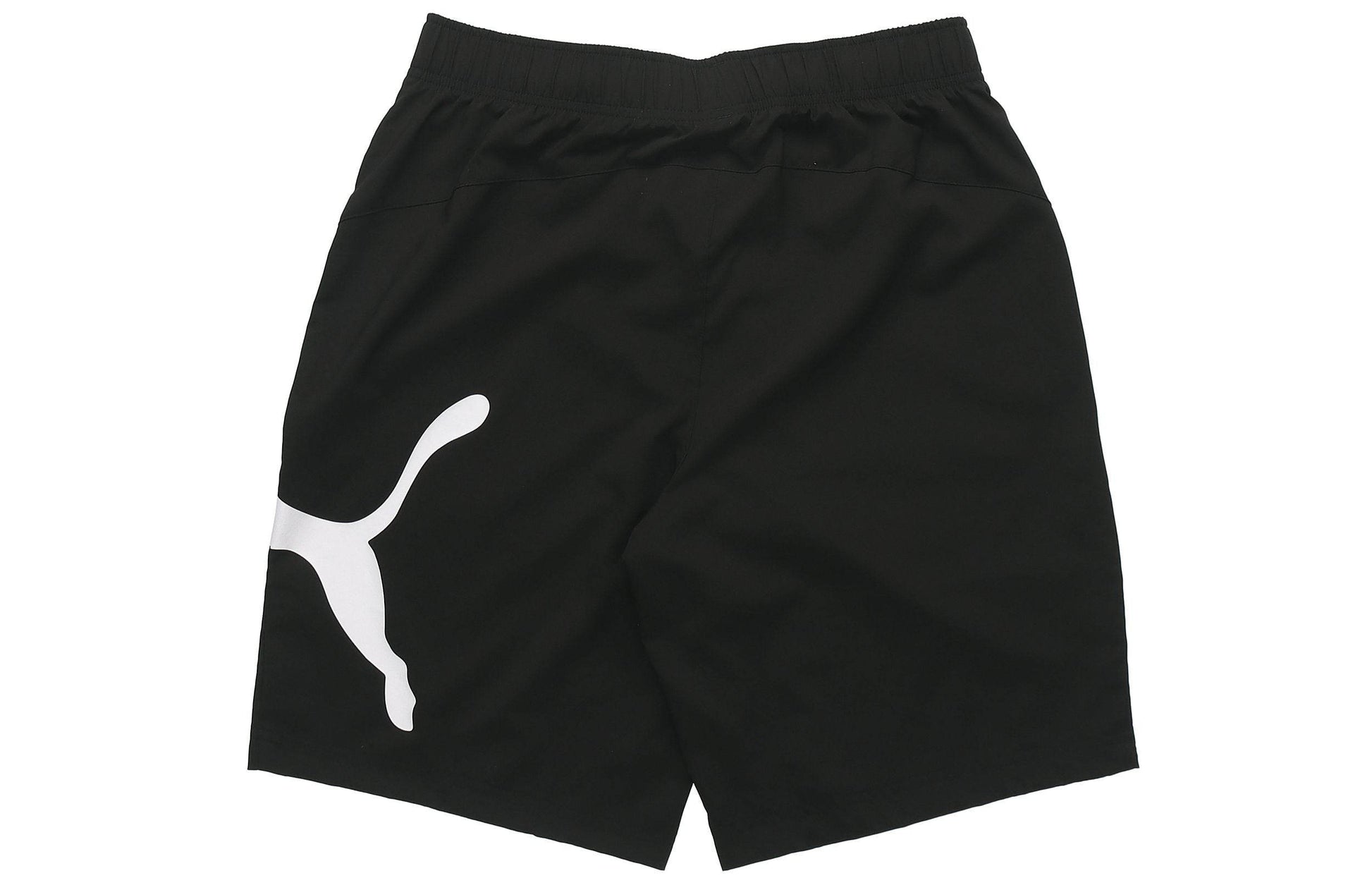 Шорты мужские Puma ESS Logo Print - Boxette Shop