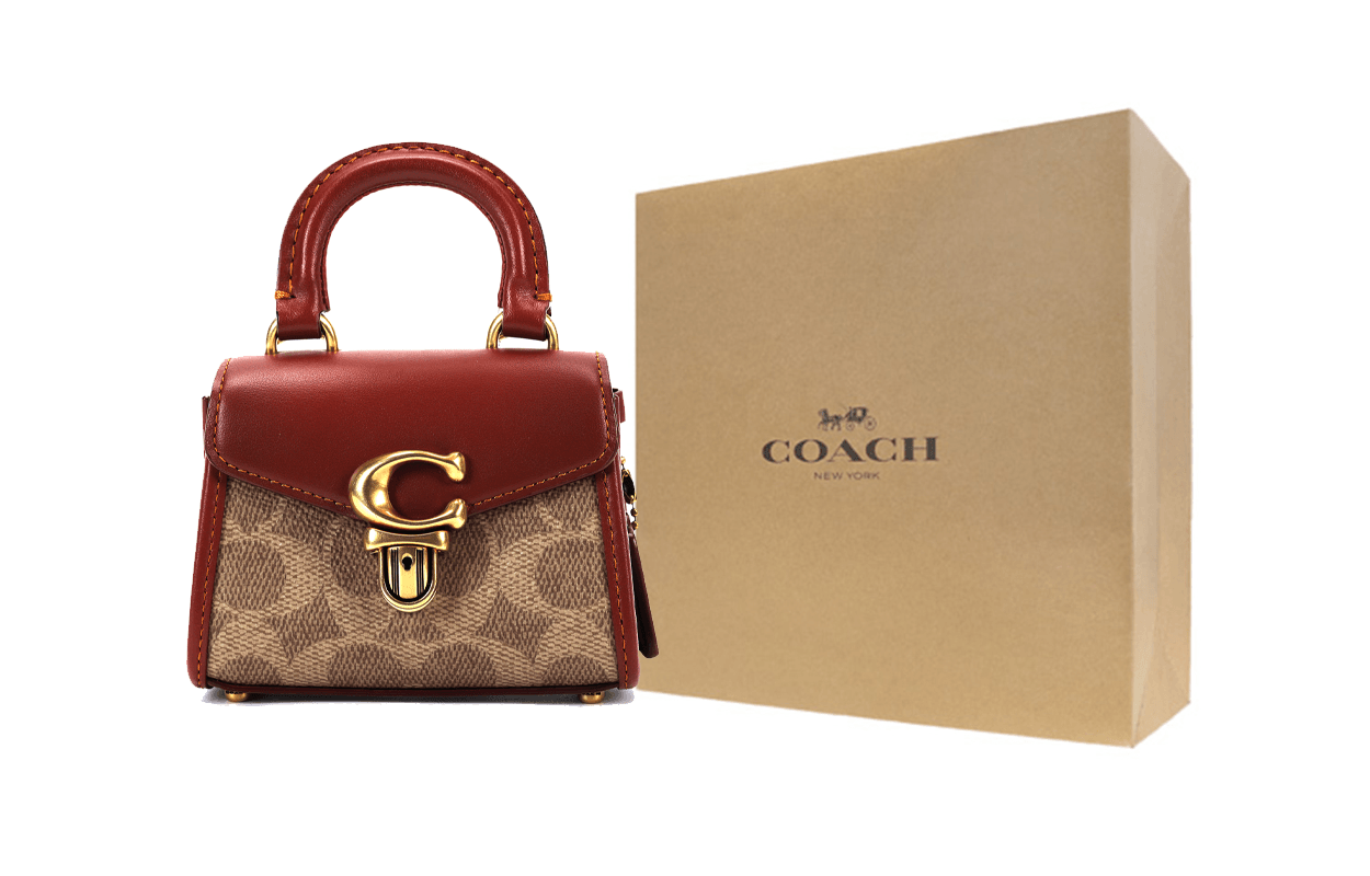 Сумка женская Coach Sammy 12 Label Push Lock Closure - Boxette Shop