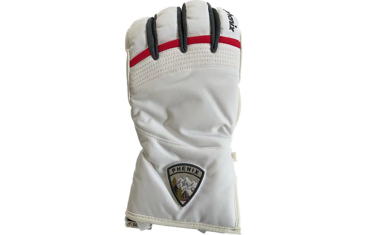 Перчатки горнолыжные мужские Phenix