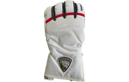 Перчатки горнолыжные мужские Phenix