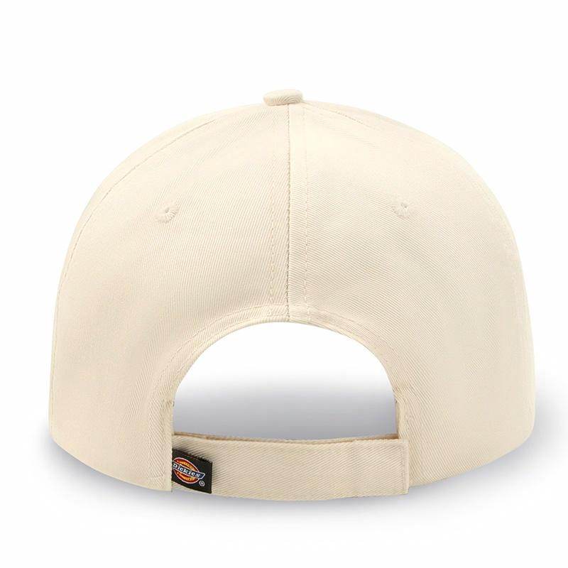 Кепка Dickies - Boxette Shop