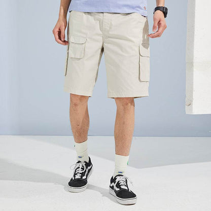 Шорты Dickies Cotton Classic Colour Five Down - Boxette Shop