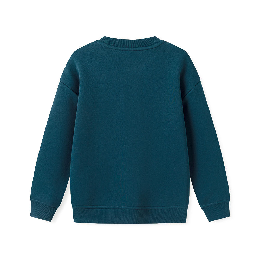 Balabala balabala x harry potter sweatshirt harry potter совместная марка год змеи ограниченный простой моды волшебный принт универсальный и удобный круглый шеи пуловер случайные подростки