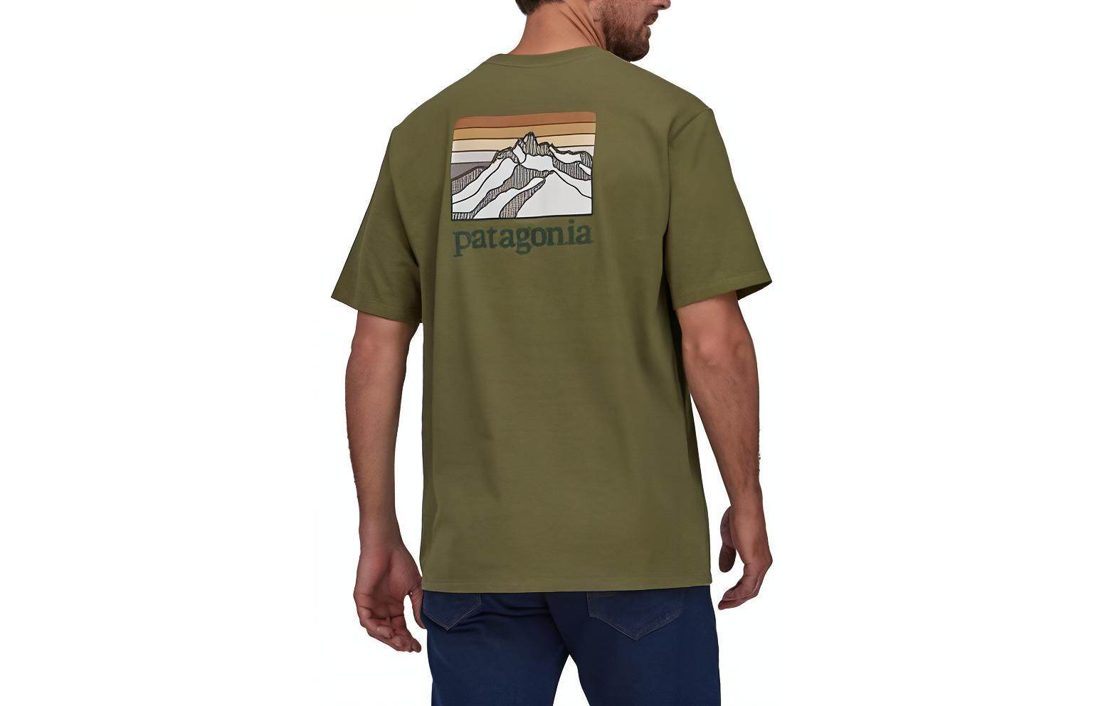 Футболка мужская Patagonia с логотипом - Boxette Shop
