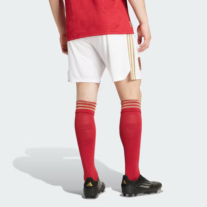 Спортивные шорты мужские Adidas Originals Anniversary FC Bayern