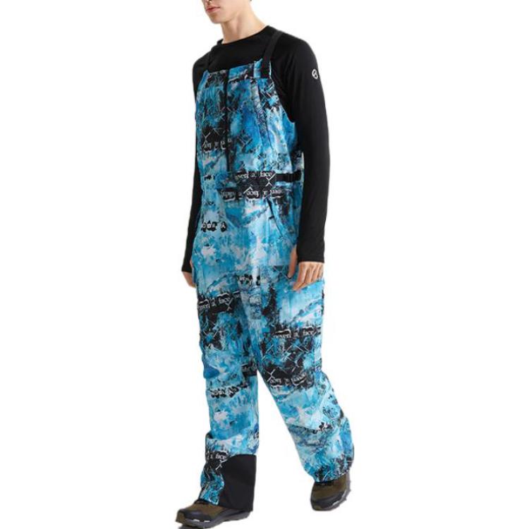 Брюки горнолыжные мужские The North Face