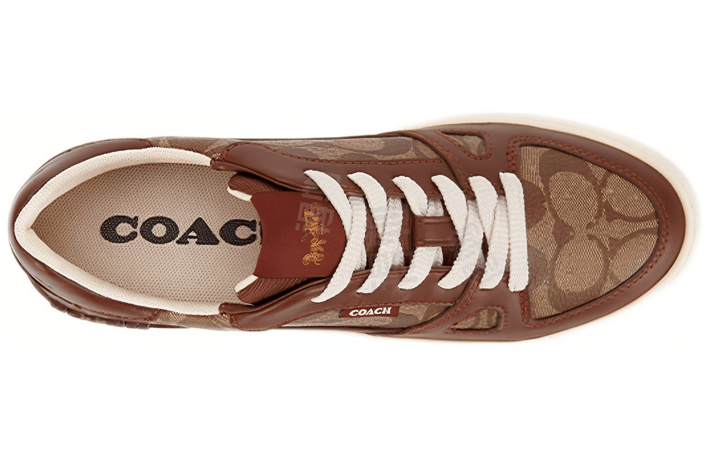 Кроссовки мужские Coach Citysole Leather Low Top Boardshorts - Boxette Shop