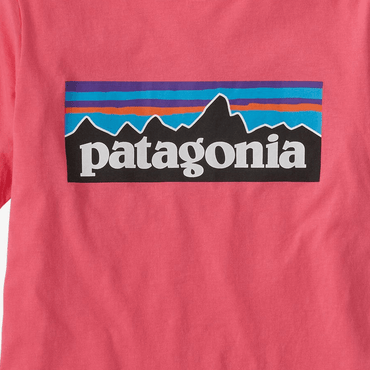 Футболка детская Patagonia P 6 Logo Patterned Printed - Boxette Shop