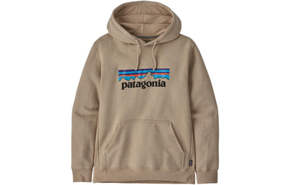 Худи Patagonia SS22