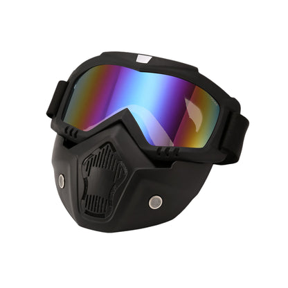 Очки горнолыжные PULAIS