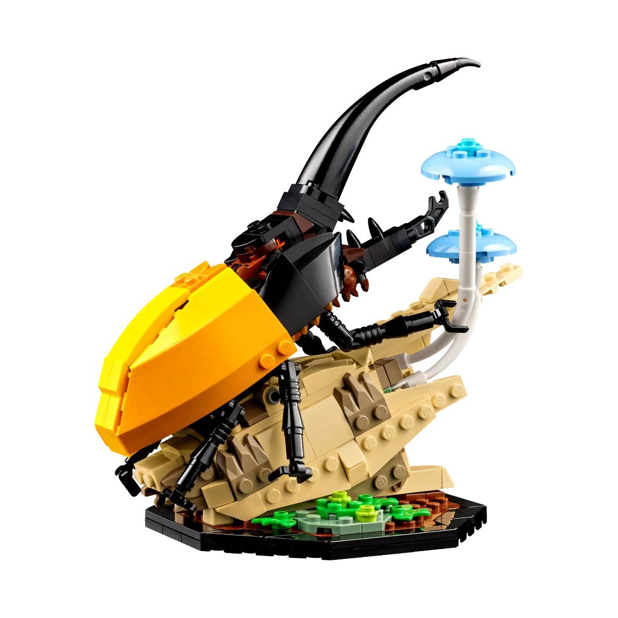 Конструктор LEGO The Insect Collection (21342-1) - Boxette Shop