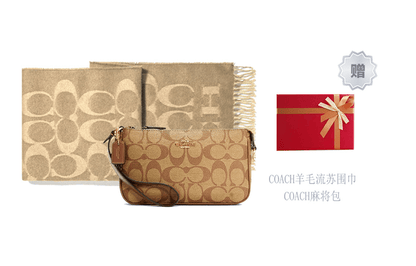 Сумка женская Coach Nolita 19 Old Flower Coated Canvas - Boxette Shop