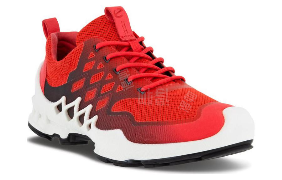 Кроссовки женские Ecco