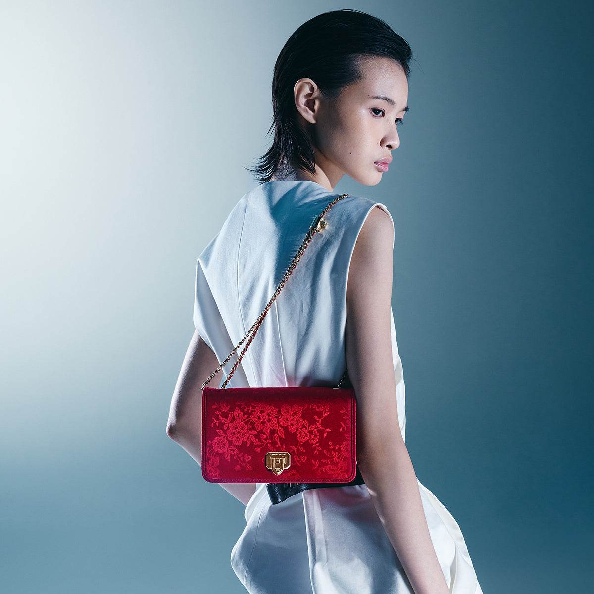 Сумка женская Charles&Keith 25 - Boxette Shop