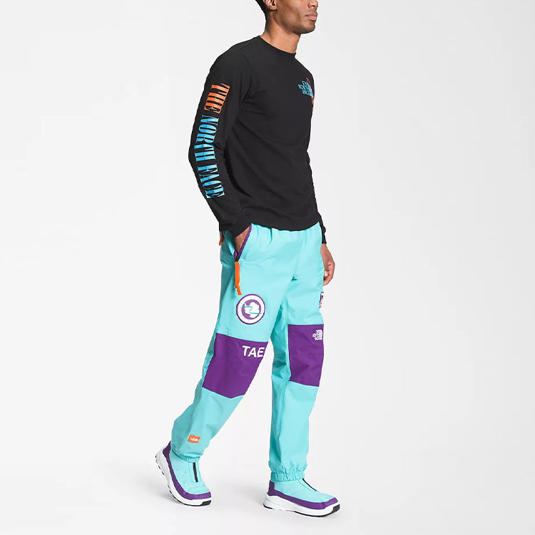 Брюки лыжные мужские The North Face