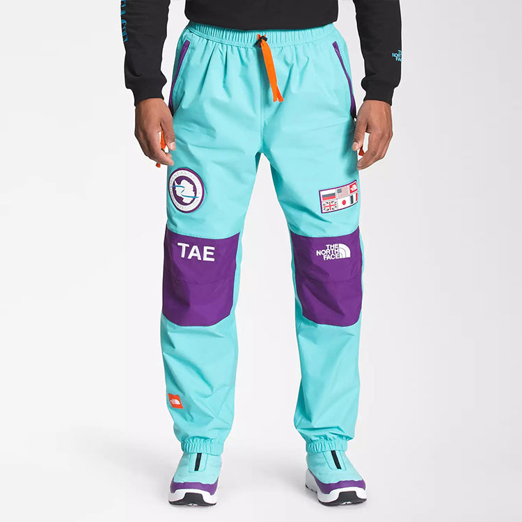 Брюки лыжные мужские The North Face