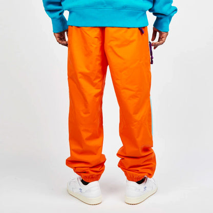 Брюки лыжные мужские The North Face