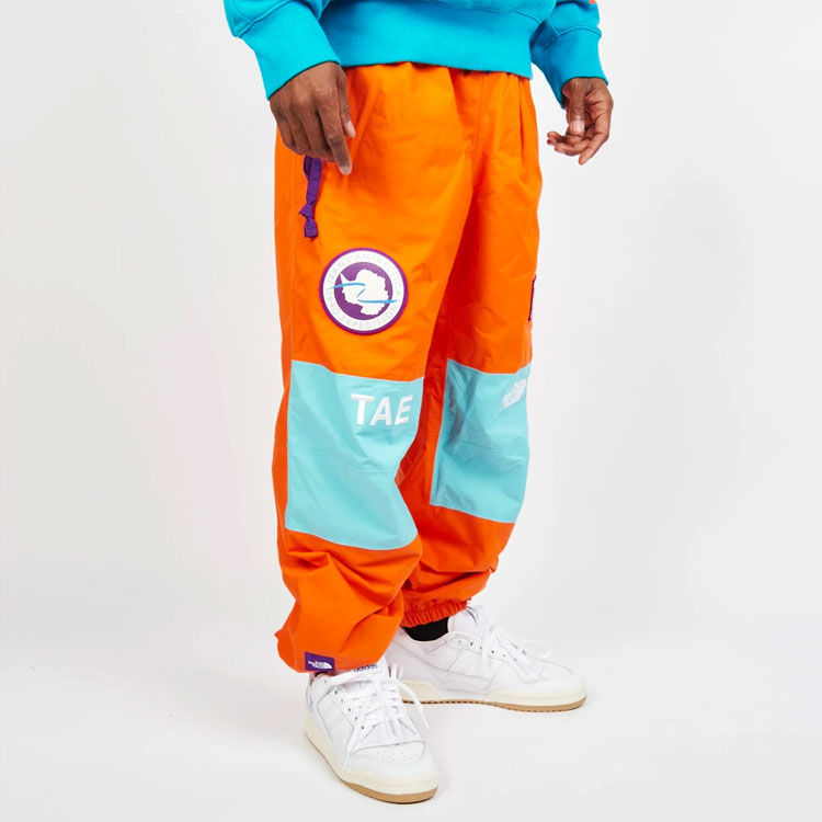 Брюки лыжные мужские The North Face