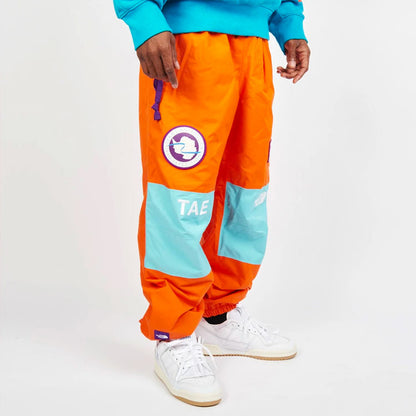 Брюки лыжные мужские The North Face