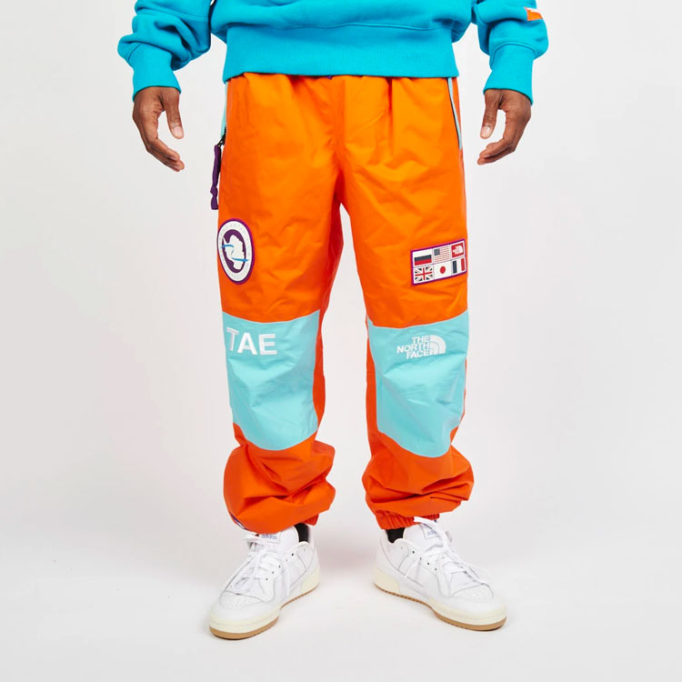 Брюки лыжные мужские The North Face