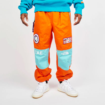 Брюки лыжные мужские The North Face