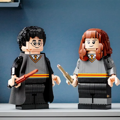 LEGO Garri Potter "Garri Potter va Germiona Grenjer" (76393)