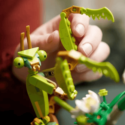 Конструктор LEGO The Insect Collection (21342-1) - Boxette Shop