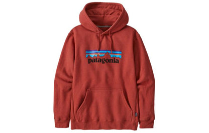 Худи Patagonia SS22