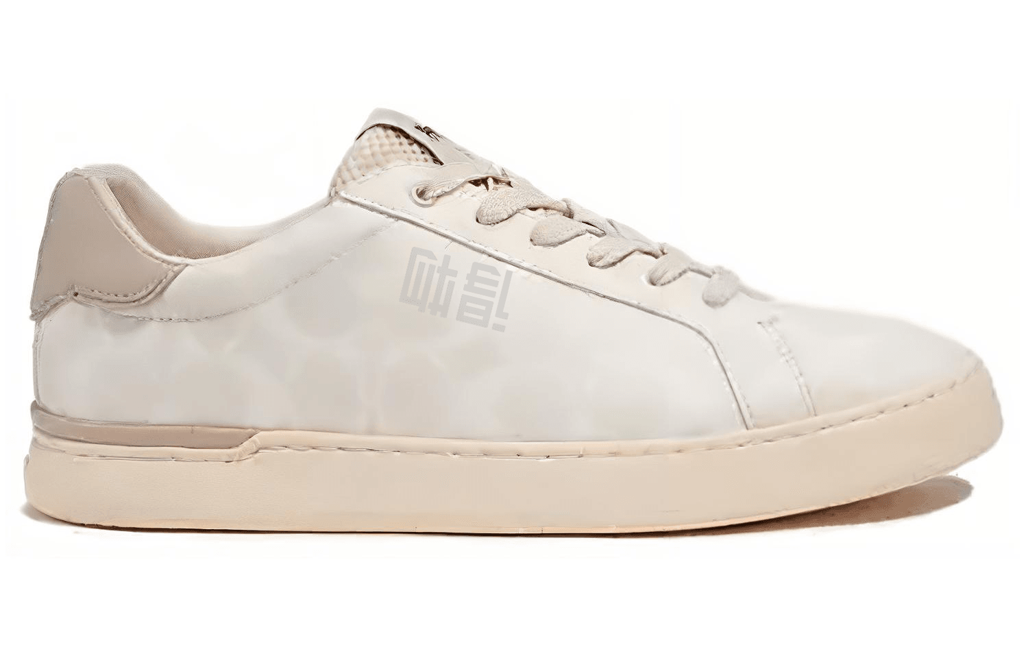 Кроссовки мужские Coach Clip Canvas Logo Coated - Boxette Shop