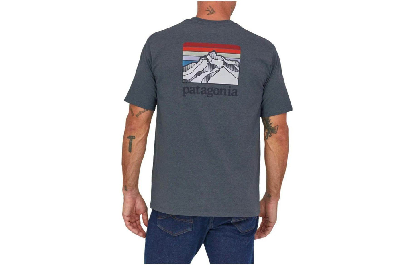 Футболка мужская Patagonia с логотипом - Boxette Shop