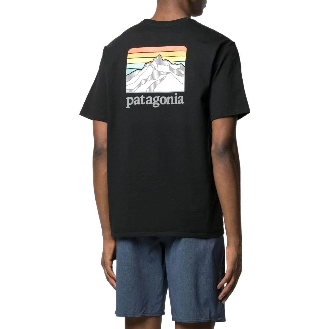 Футболка мужская Patagonia с логотипом - Boxette Shop