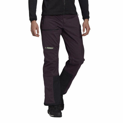 Брюки горнолыжные мужские Adidas