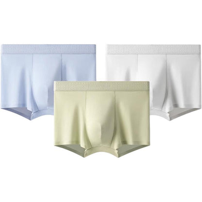 Teenie Weenie erkaklar shortilari