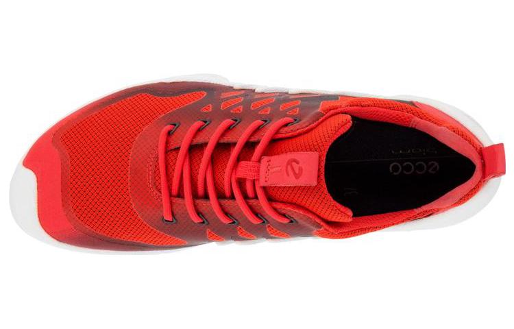 Кроссовки женские Ecco