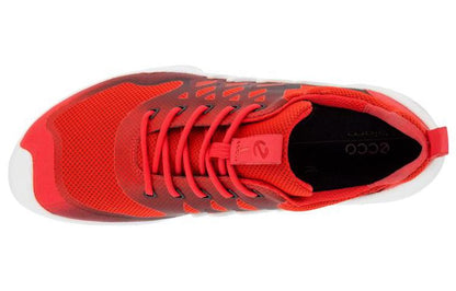 Кроссовки женские Ecco