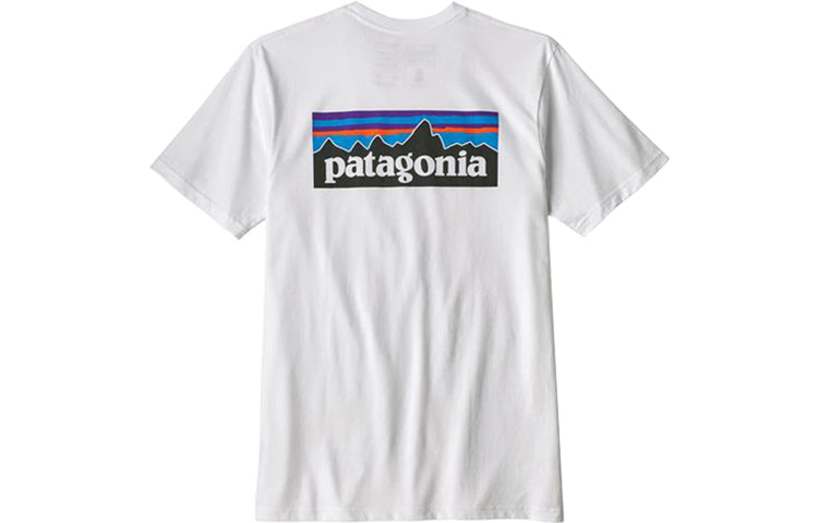 Футболка мужская Patagonia