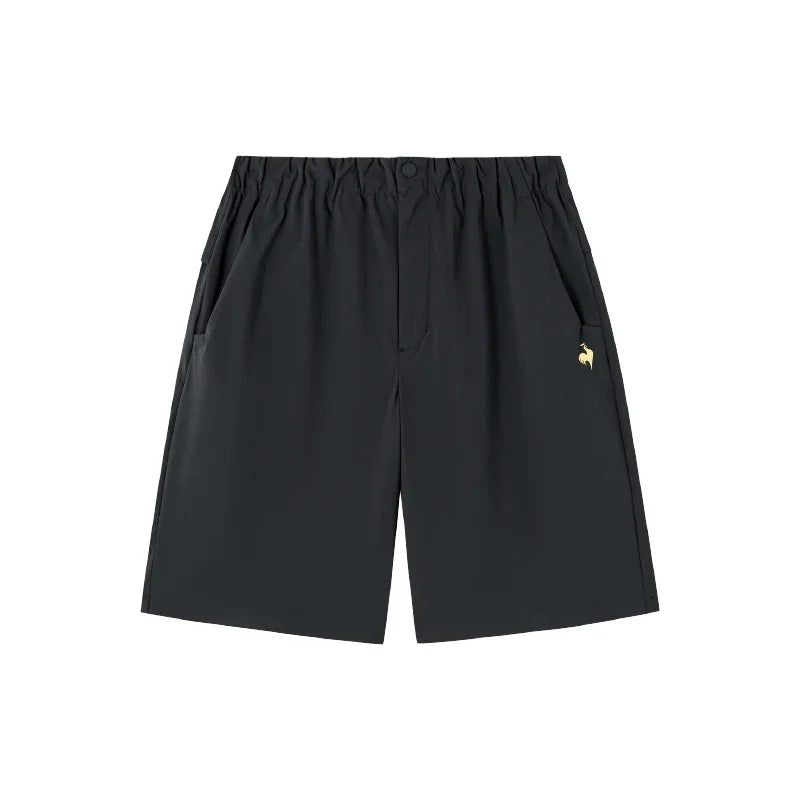 Шорты мужские Le Coq Sportif - Boxette Shop