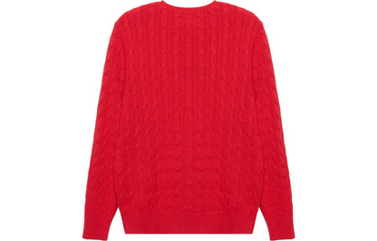 Polo Ralph Lauren bolalar sviteri FW22