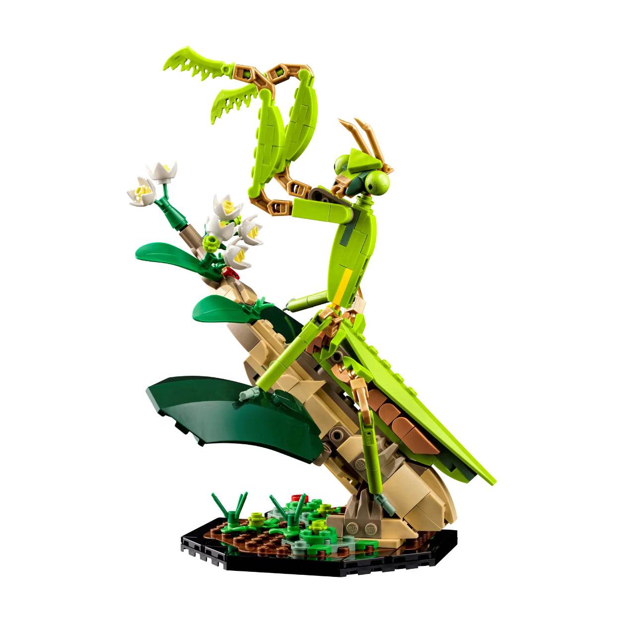 Конструктор LEGO The Insect Collection (21342-1) - Boxette Shop