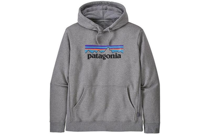 Худи Patagonia SS22